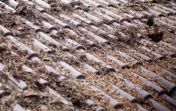 North Eastling roof cleaning companies